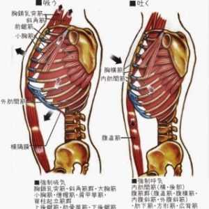 歌手への呼吸コントロール