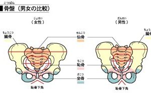 骨盤矯正って大事ですが・・・