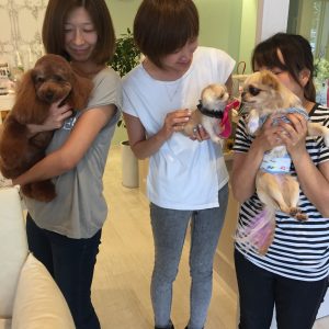 お世話になってるお店
