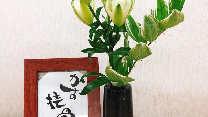 新しいお花